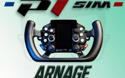 P1Sim Arnage: Mi sincera opinión sobre este volante